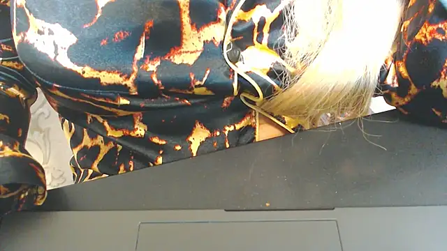 Show modela DolphinDreams na web-kameri