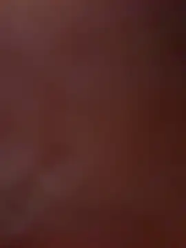 MoshedAikido 网络视讯表演