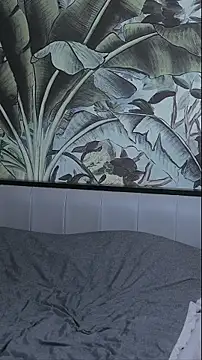 Pokazy przed kamerką – ZY6655