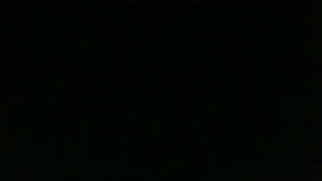 Chichoplus1 Live XXX Chat