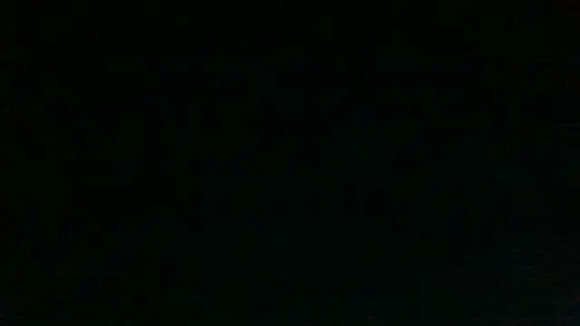 Chichoplus1のウェブカメラショー