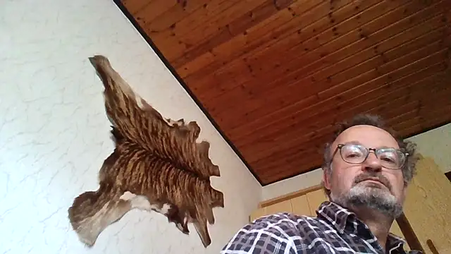 zipzilli: διαδικτυακό σόου στην κάμερα