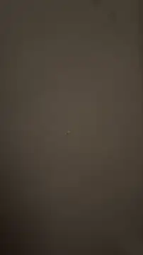 Pokazy przed kamerką – Malludubai69