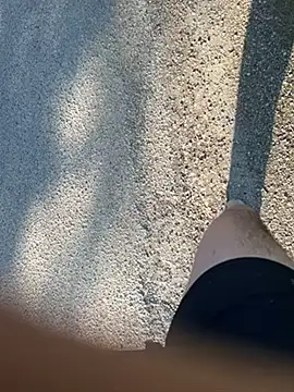 magicdickx21's Webcam Show