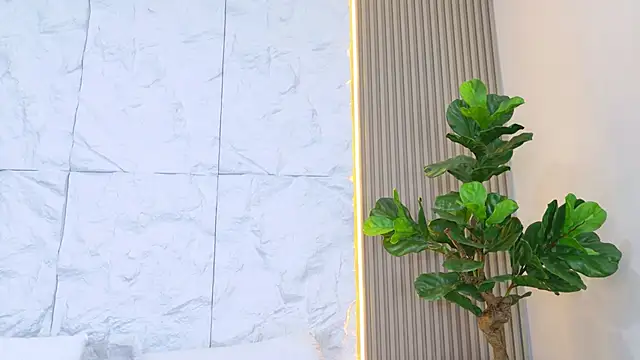 LaurenRodriiguez Live XXX-Chat