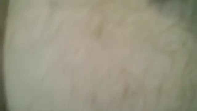 readytorumble97's Webcam Show