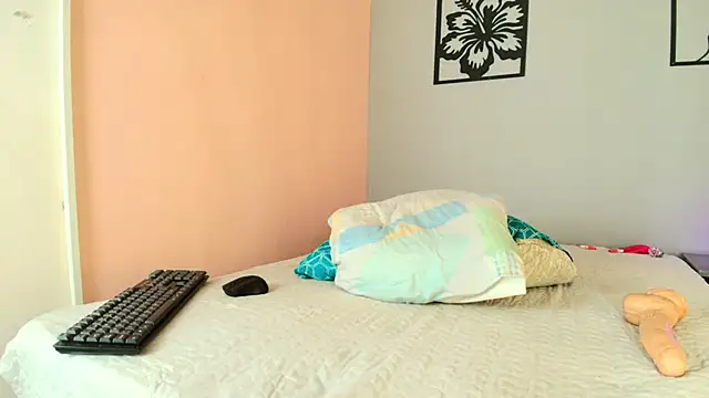 Lorensgill Webcam-Show