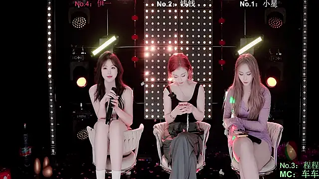 Show Webcam de ZZ00033S