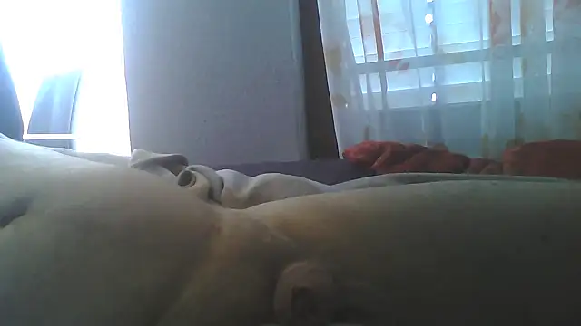 feelfree0815 webcam show