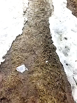 โชว์เว็บแคมของ _uncle_Mitya-43_