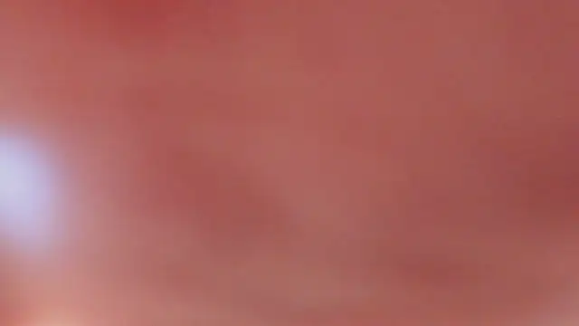 LelahLat Webcam Show