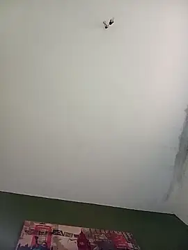 Show modela Pollagordita7 na web-kameri