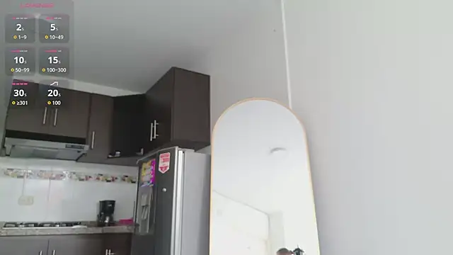 grey___27のウェブカメラショー