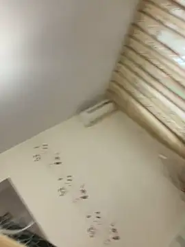 TheeaBlanco's Live XXX Chat