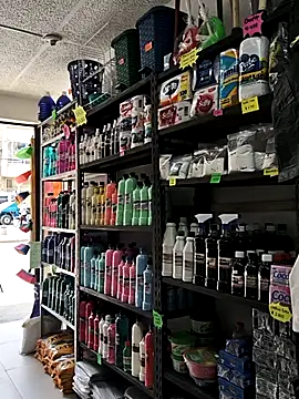 Tefannyy_'s Live XXX Chat