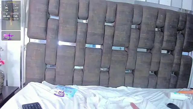 DomenicoReyのウェブカメラショー