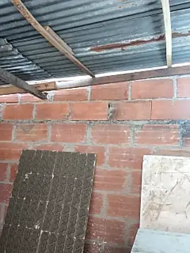 hoteder 网络视讯表演