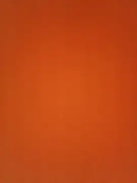 Show Webcam de adicma123