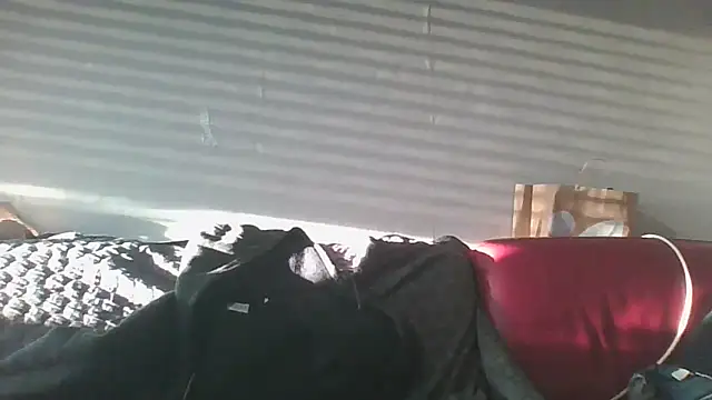 Frenchi69 webcam show