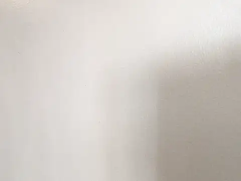 littyleesh1's Live XXX Chat