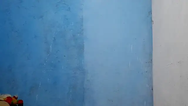 MadelynStamant 라이브 XXX 채팅