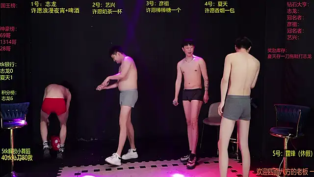 SD-857n Webbikameraesitys