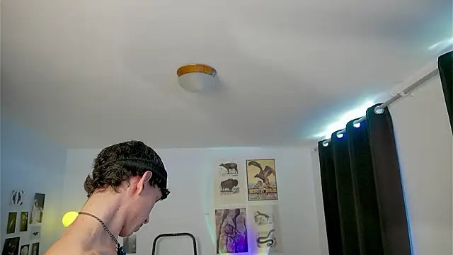 Вебкам-шоу boream