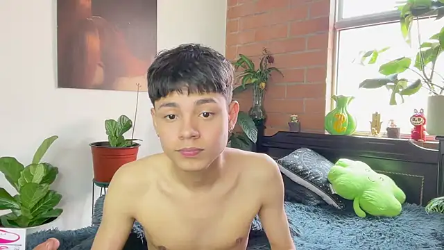 Andy_Belier23n Webbikameraesitys