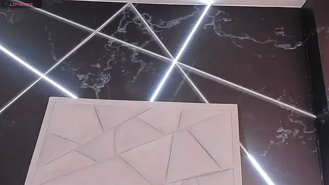 AerumChae 网络视讯表演