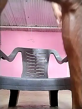 Show modela spittermasterpig1 na web-kameri