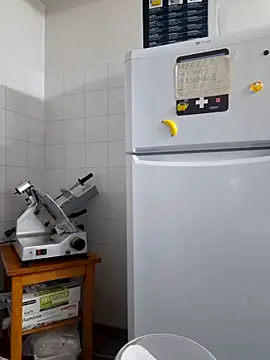 Show webcam de -kokoro-