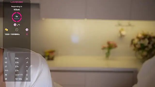 Vassiilisa 现场XXX聊天