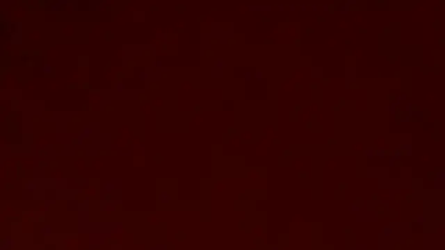 Pokazy przed kamerką – pleasuresponge