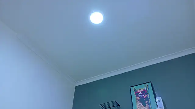 MrFox__ Chat XXX live