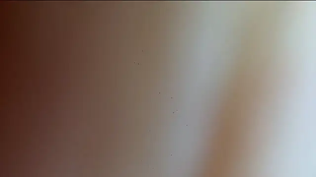 Chat XXX ao vivo de AylaLust