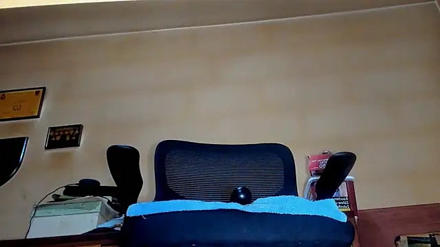 Pertunjukan Kamera Web kinkyman47