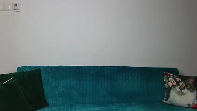 Živý XXX chat SaraDaisy