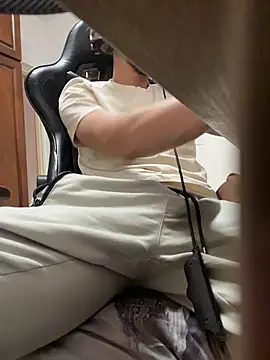 Show webcam de Omar472