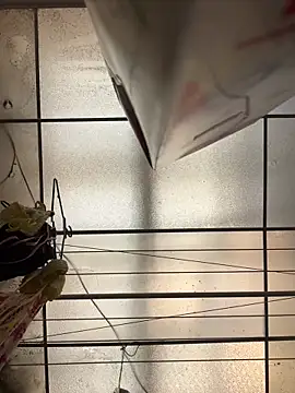 Czat XXX na żywo – PamelaJonsom_