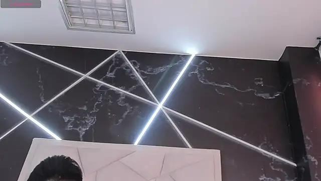 AerumChaeのウェブカメラショー