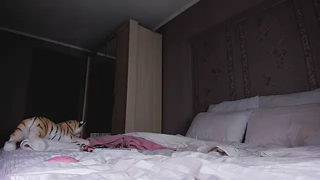 Stormify 现场XXX聊天