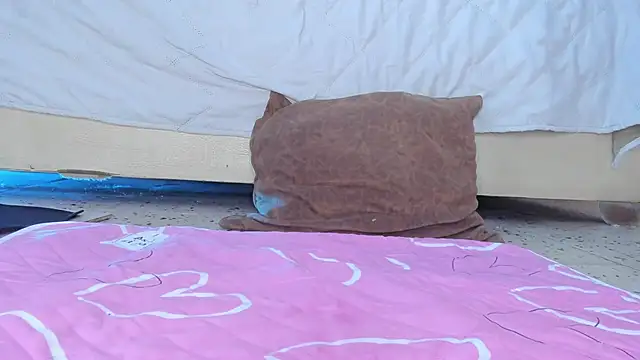 angelswets live XXX chat