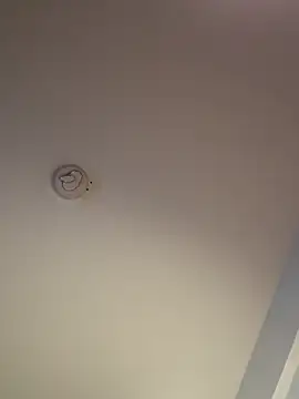 Andrestarr Chat XXX in diretta