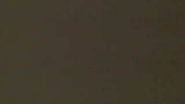 CurvyAssXX21's Live XXX Chat