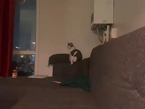 XXX chat uživo modela mistressayc