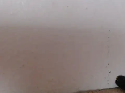 Czat XXX na żywo – alexam_gal@xh