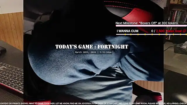 DeanonCam Webcam-Show