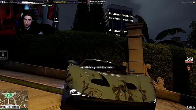 sebirp 网络视讯表演