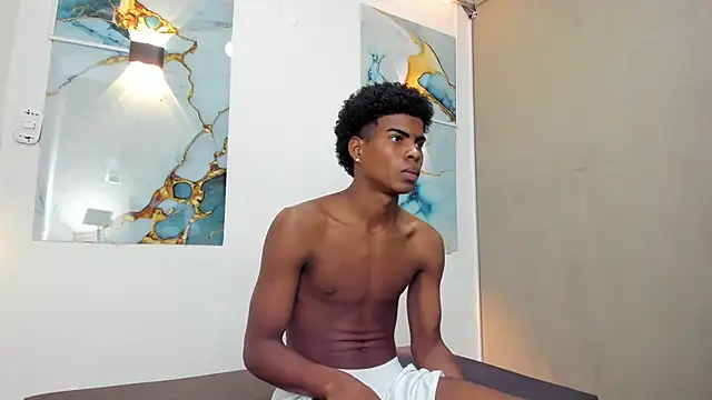 XAVI_LEEn Webbikameraesitys