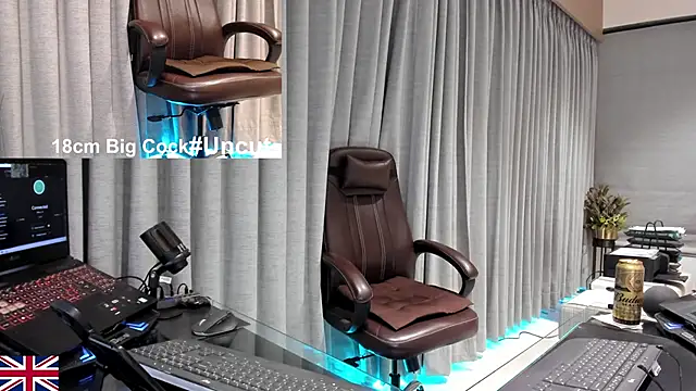 OnlineBossUK: διαδικτυακό σόου στην κάμερα